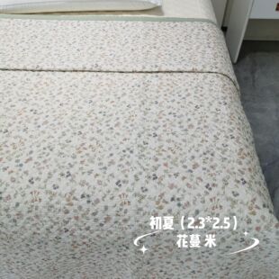 特价天丝红知了初夏床盖一面天丝一面水洗棉2.3×2.5米红知了初夏