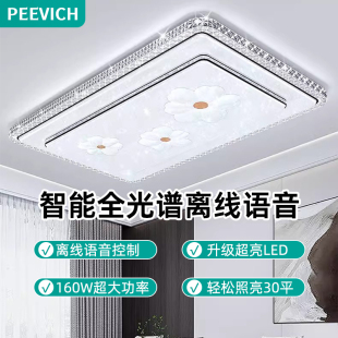 吊燈吸頂燈具現代簡約大氣大廳大燈中山燈具全屋 客廳主燈2025新款