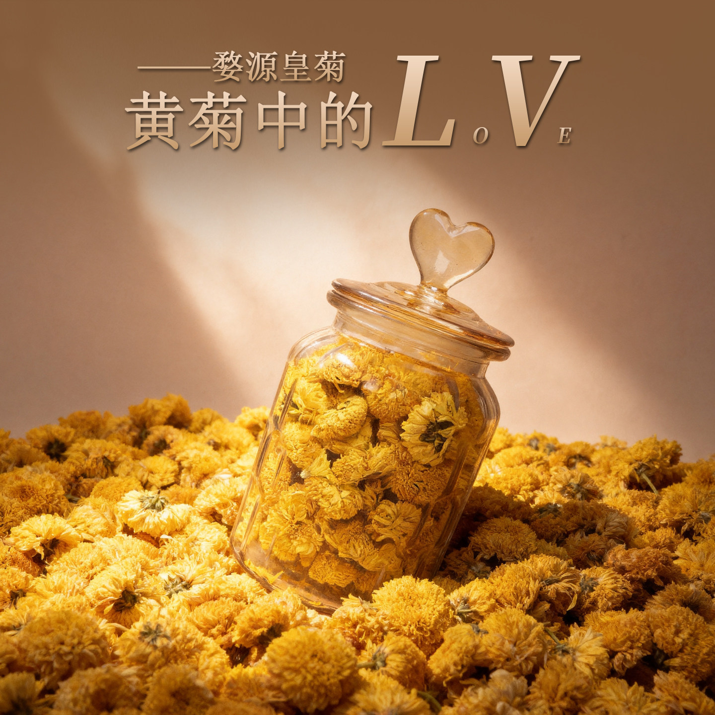 婺源皇菊花茶江西特产级头茬大朵黄菊养生花草茶中秋节教师节礼物