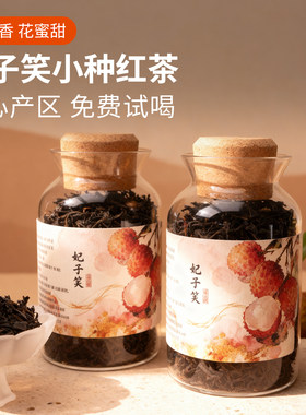 妃子笑红茶荔枝香花蜜甜武夷桐木关正宗高山特产级小种茶叶自己喝
