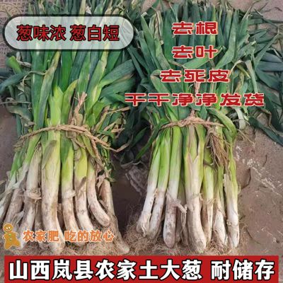 山西大葱土葱岚县农家自种土大葱新鲜蔬菜大葱绿葱蘸酱菜葱花5斤