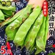 东北一点红油豆角新鲜黑龙江油豆新鲜豆类