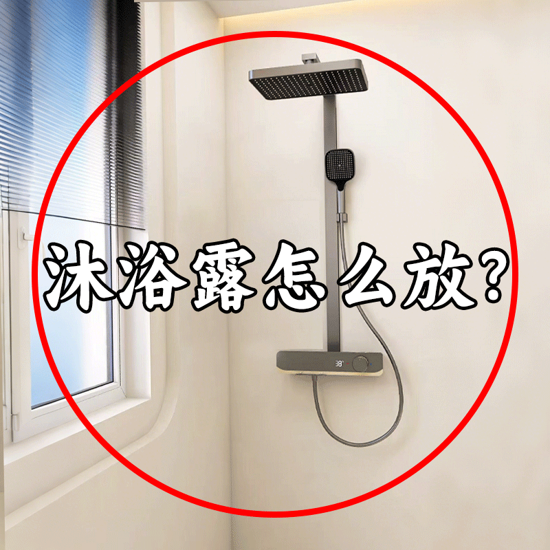 沐浴露怎么放？卫生间皂液器壁挂式免打孔浴室洗发水沐浴液脸盆架