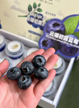 精品15加纯甜蓝莓178元4斤