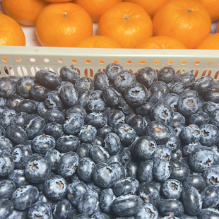 脆甜25蓝莓4斤大小混果188元 15加 果香花香