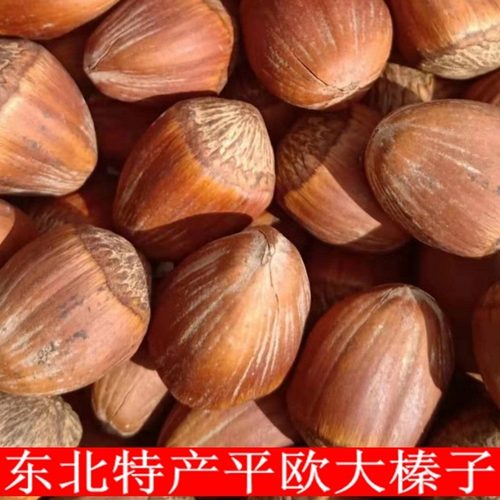 东北特产优质平欧大榛子薄皮新货铁锅炒熟原味无添加