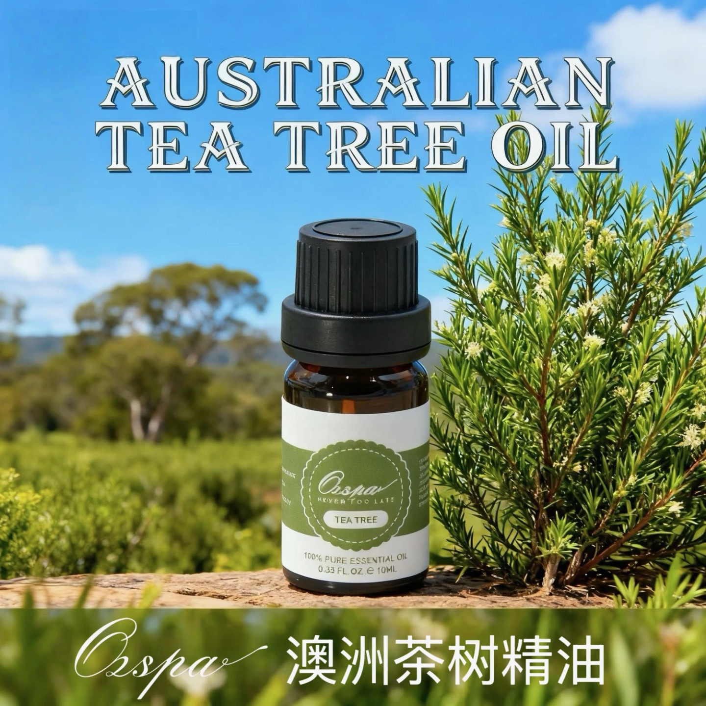 澳洲茶树精油进口天然植物萃取芳疗安神卧室持久香