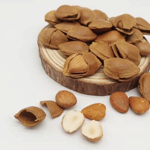 小银杏开口杏核杏仁坚果零食手剥薄壳500克奶香味新疆发货