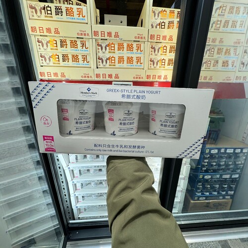 希腊式酸奶0脂肪生牛乳发酵