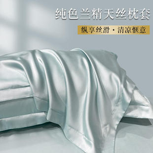清仓特价100支天丝夏季枕套冰丝凉感枕芯套100%莱赛尔48x74cm一对