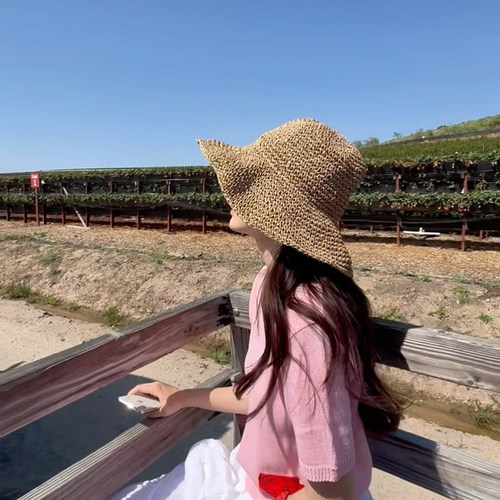 夏季大檐防晒草编沙滩帽女