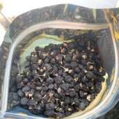 黑枸杞50g青海枸杞正宗大果花青素之王男肾免洗润康药材滋补行