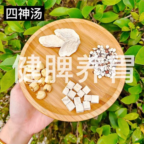 儿童成人健脾养胃调理肠道四神汤