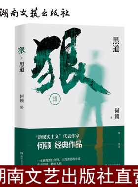 狠·黑道-何顿-融时代命运于小人物的书写之中-小说