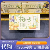 山姆代購(gòu) 梅子多多氣泡水330ml梅子水果味汽水八種梅果風(fēng)味飲料新