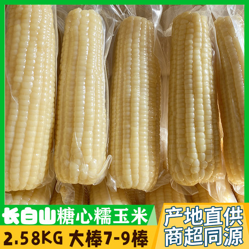 会员店源头工厂直发简装长白山糖心糯玉米通化黏玉米白苞米棒5斤