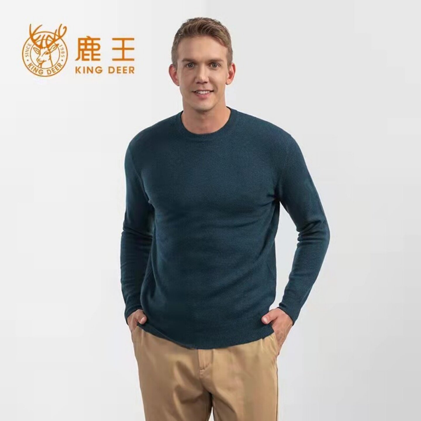 鹿王男士柔软山羊绒圆领针织衫套头冬季保暖休闲商务纯色打底毛衣