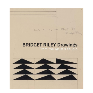 绘画 善本图书 进口艺术画册画集 the 现货 布里奇特·莱利 Artist’s Riley Bridget 英文原版 Drawings Studio From