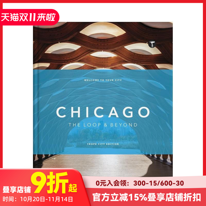 芝加哥建筑元素：环路及周边 T