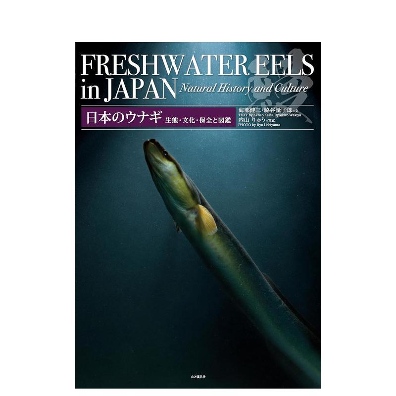 【现货】日本鳗鱼:生态、文化、保护及图鉴 日本のウナギ 生态?文化?保全と図鉴 原版日文生活