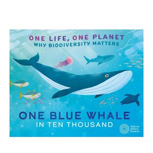 【现货】一个生命 一个星球：万分之一的蓝鲸 One Life  One Planet: One Blue Whale in Ten Thousand 原版英文儿童绘本 善本图书