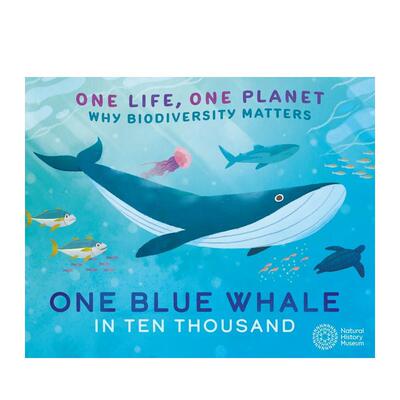【现货】一个生命 一个星球：万分之一的蓝鲸 One Life  One Planet: One Blue Whale in Ten Thousand 原版英文儿童绘本 善本图书