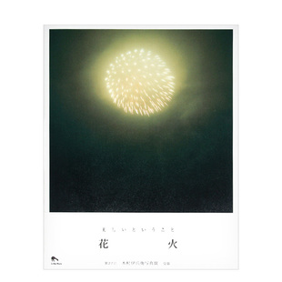 花火 リトル.モア日文原版 日文原版 现货 进口摄影作品集写真集 why 川内伦子摄影集 为什么美术馆 进口