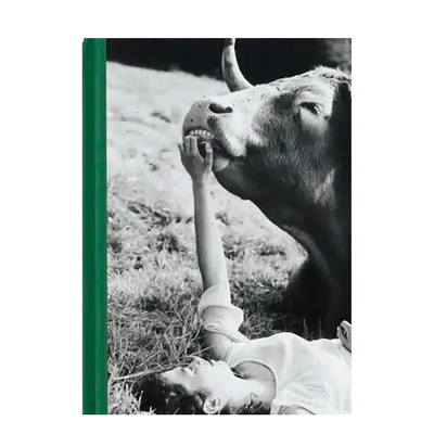 陪伴Companions摄影集艺术