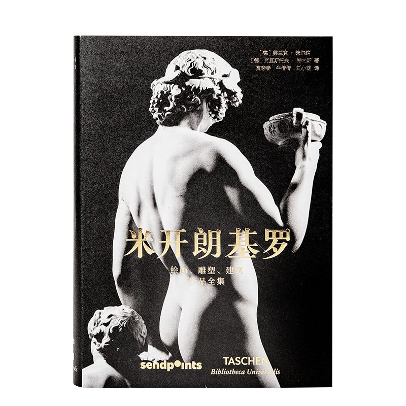 米开朗基罗绘画雕塑建筑作品全集