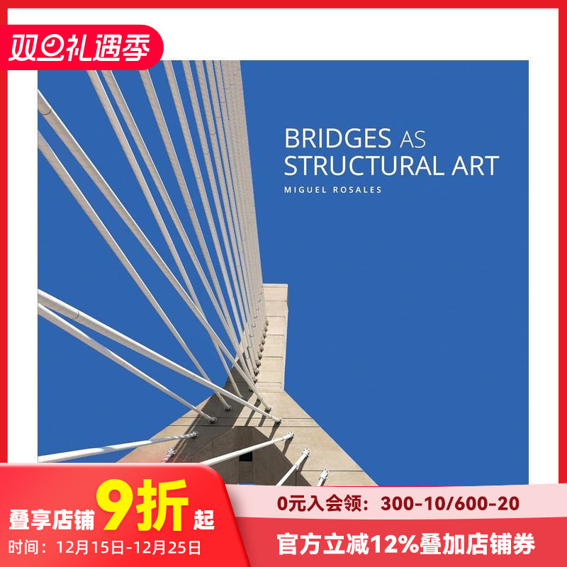 作为结构艺术的桥梁 Bridg