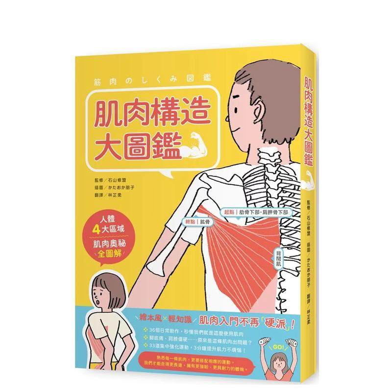 肌肉構造大圖鑑 台版原版中文繁
