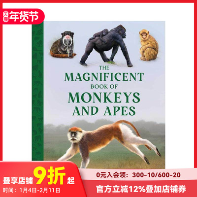 【预售】猿猴大书 Monkeys and Apes 原版英文青少年读物 善本图书