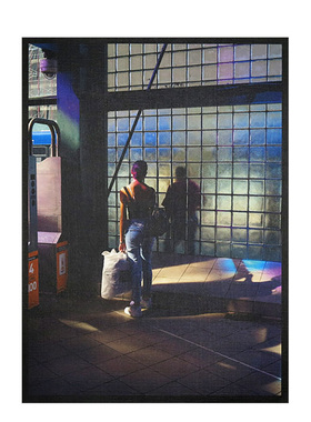 【现货】摄影师David Rothenberg  罗斯福站Roosevelt Station 英文原版进口图书摄影集摄影书 Perimeter Editions出版社