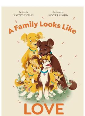 【现货】家是有爱的样子 A Family Looks Like Love 图画书 英文原版进口儿童绘本 善本图书
