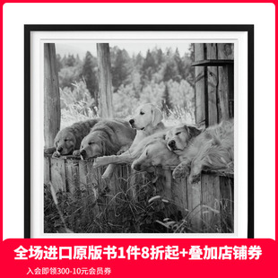Bruce 预售 布鲁斯·韦伯 英文摄影 善本图书 Photographic Weber. 金毛摄影协会 TASCHEN限量版 Society.原版