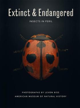 【预售】灭绝与濒危：处境危险的昆虫 Extinct & Endangered : Insects in Peril 英文原版进口艺术摄影集 善本图书