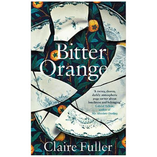 Orange 苦酸橙 Claire 英文原版 Bitter Fuller 小说 现货