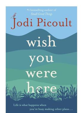 【现货】希望你在Wish You Were Here 大众女性励志文学故事 英文原版 Jodi Picoult 善本图书