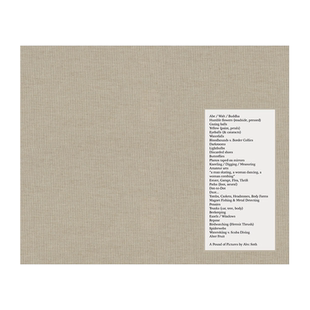 【现货】【签名版】亚历克·索斯:一堆照片 Alec Soth: A Pound of Pictures 进口原版英文摄影集艺术 善本图书