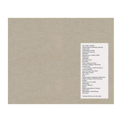 亚历克索斯一堆照片英文摄影