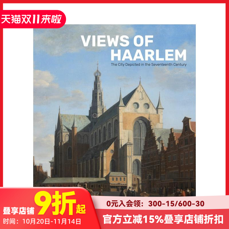 哈勒姆景观:17世纪描绘的城市