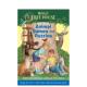 动物游戏拼图 Animal And Games 英文原版 10岁以上 Puzzles儿童英语章节桥梁故事小说 预售 进口图书 善本童书