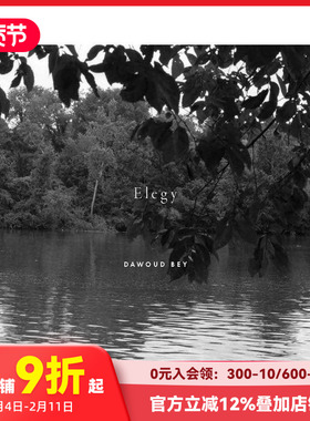 【预售】达沃德·贝：挽歌 Dawoud Bey: Elegy 原版英文摄影 善本图