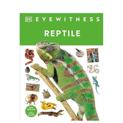 【预售】【DK视界】爬行动物 【DK Eyewitness】Reptile 原版英文儿童绘本