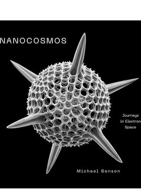 【预售】纳米宇宙：电子空间之旅 Nanocosmos: Journeys in Electron Space 原版英文摄影作品集