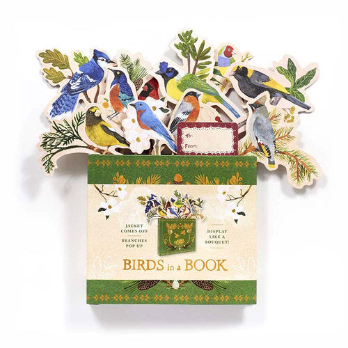 【现货】【创意花盆礼品书】Birds in a Book书中鸟 翻翻立体书 英文原版