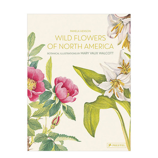 现货 Wild North 艺术作品集画册画集 Vaux 英文原版 北美洲野生花卉：Mary 善本图书 Walcott植物水彩插画 America Flowers
