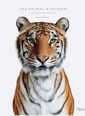 【现货】Animal Kingdom动物王国Randal Ford动物肖像摄影集英文原版