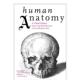 预售 英文社会科学 人体解剖学：从文艺复兴到数字时代 Human 原版 视觉史 Anatomy 善本图书