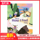 现货 Feel 英文儿童绘本 感受 原版 这就是我今天 帮助孩子识别理解表达感受 This Today How